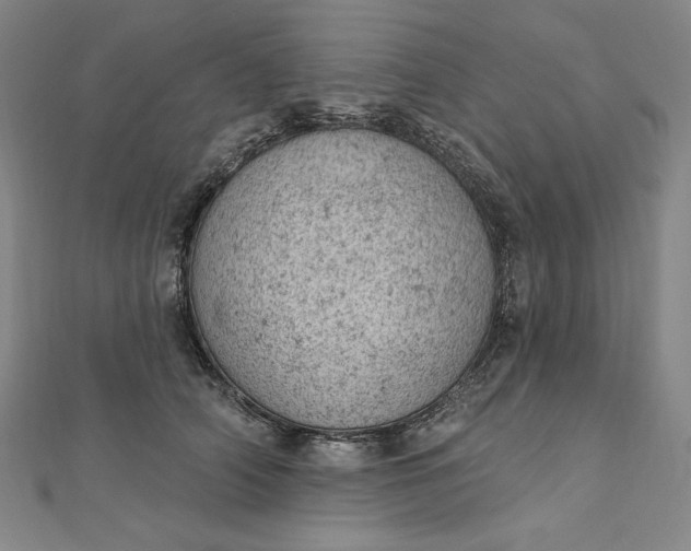 X0000112780706200909031629