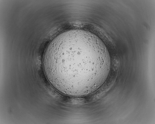 X0000112780707200909031629