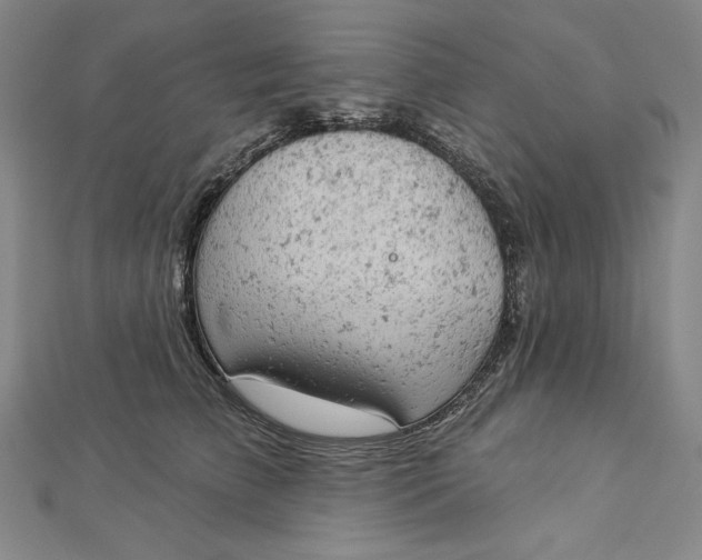 X0000112780709200909031629