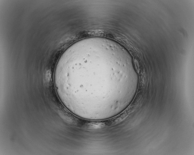 X0000112780711200909031629