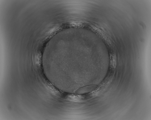 X0000112780712200909031629