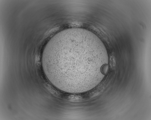 X0000112780714200909031629