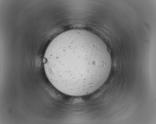 X0000112780715200909031629