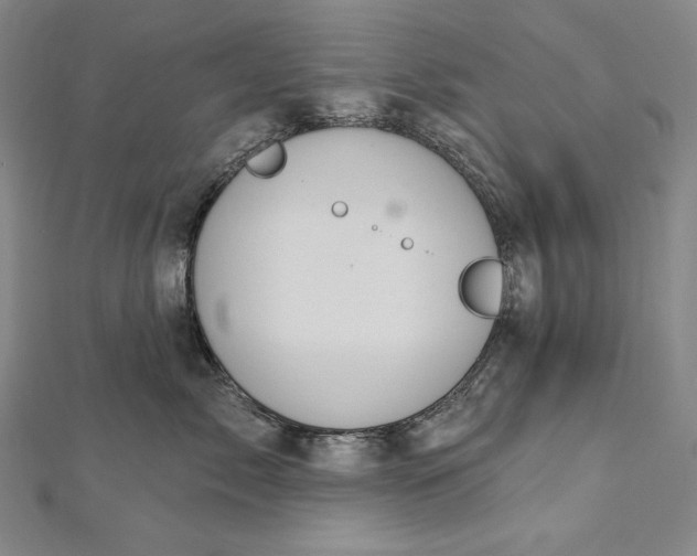 X0000112780717200909031629