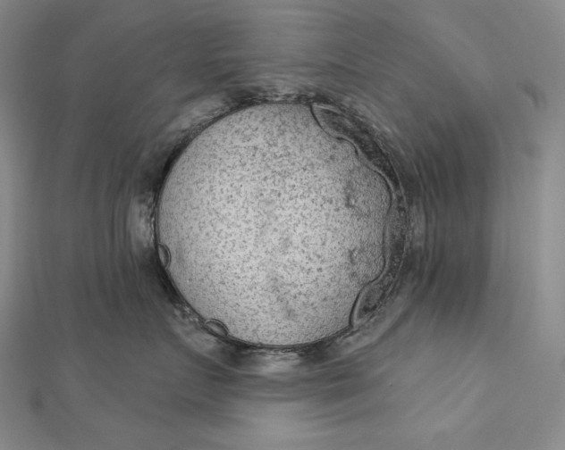 X0000112780719200909031629