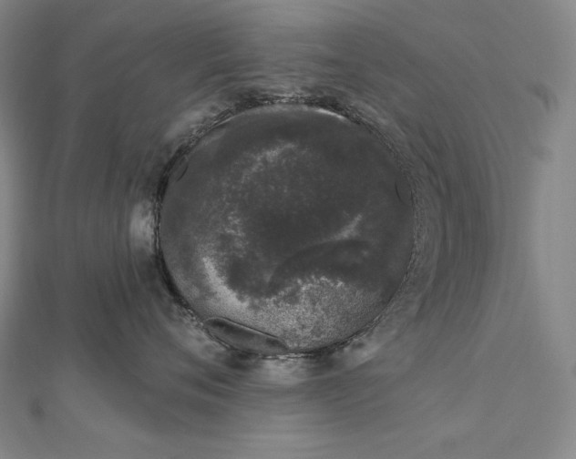 X0000112780720200909031629