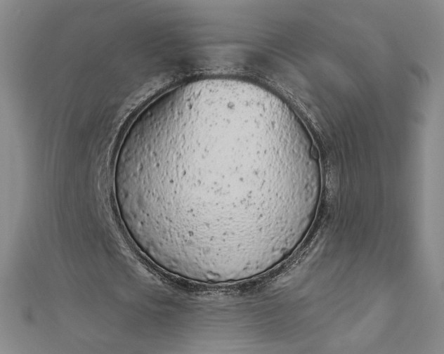 X0000112780721200909031628