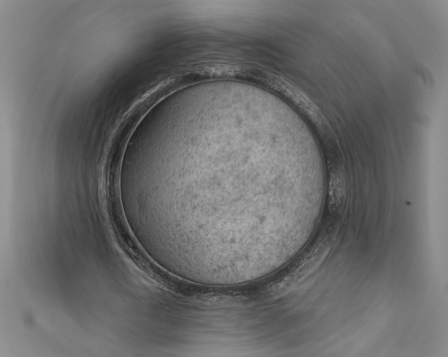 X0000112780722200909031628