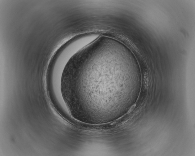 X0000112780726200909031628