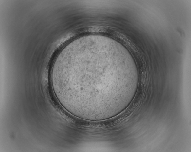 X0000112780727200909031628