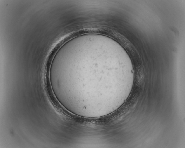 X0000112780728200909031628