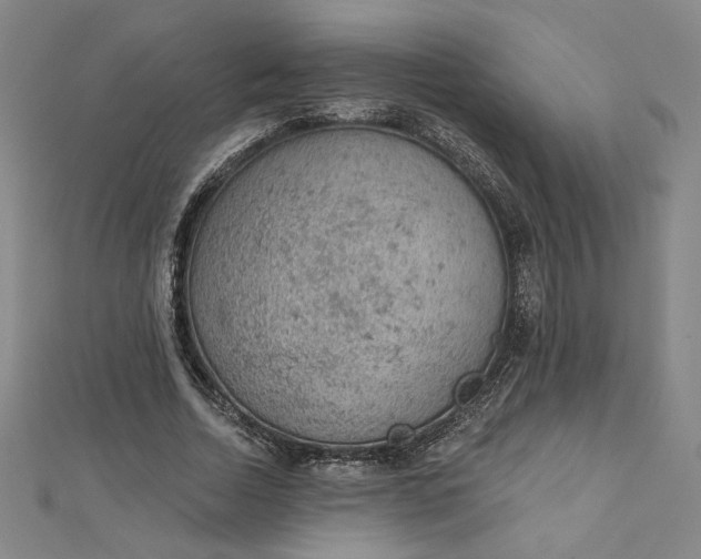 X0000112780730200909031628