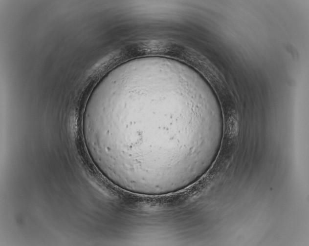 X0000112780733200909031628