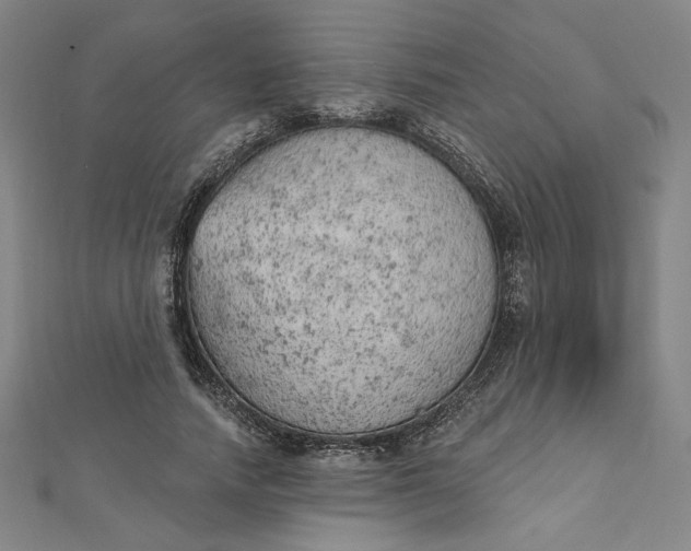 X0000112780738200909031628