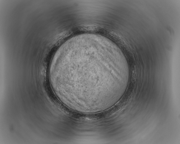 X0000112780739200909031628