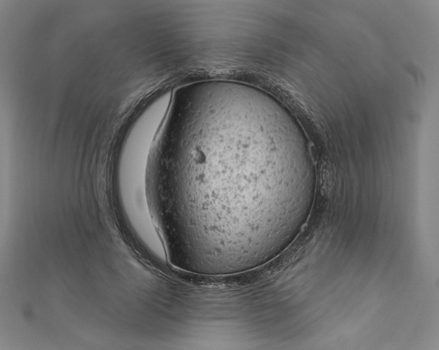 X0000112780740200909031628