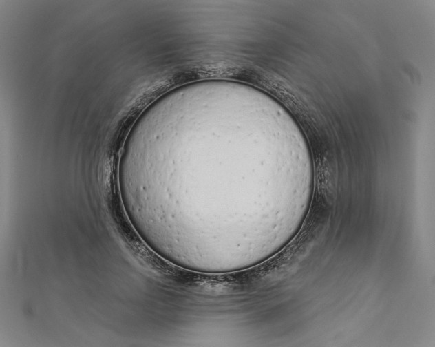 X0000112780742200909031628