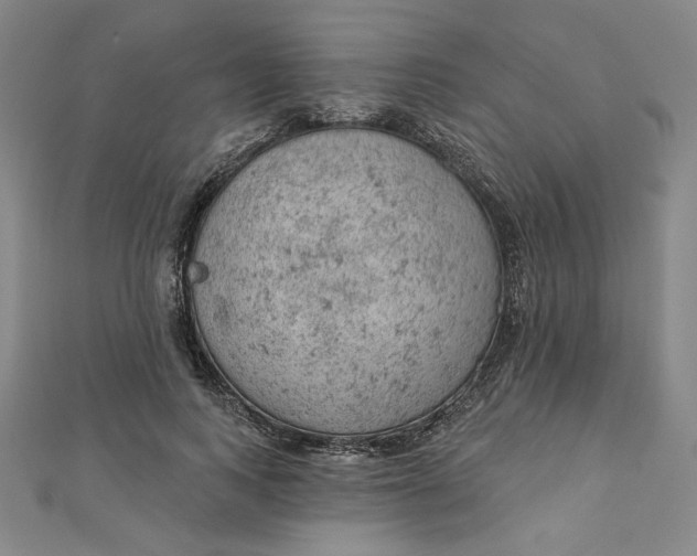 X0000112780743200909031628