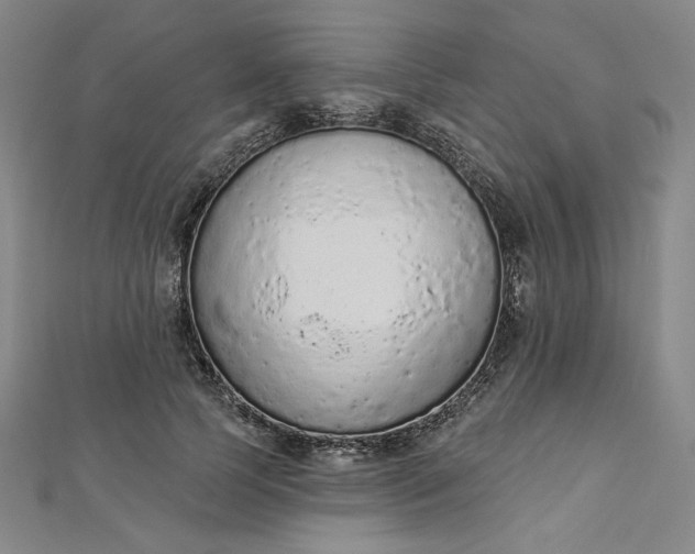 X0000112780745200909031628