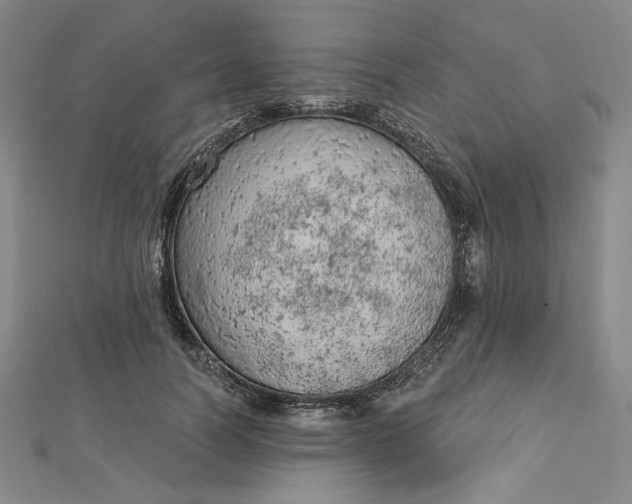 X0000112780746200909031628