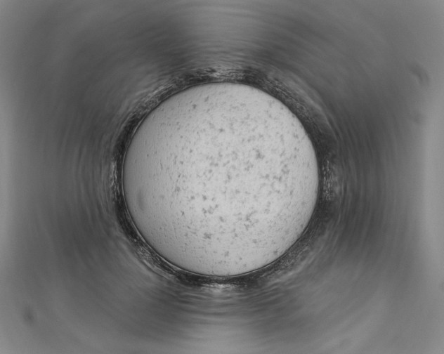 X0000112780748200909031628