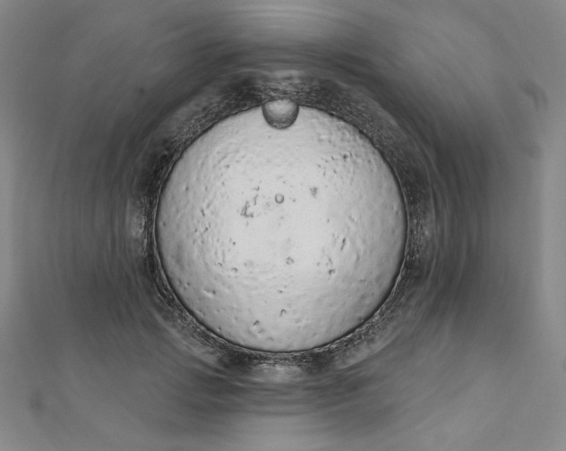 X0000112780749200909031628