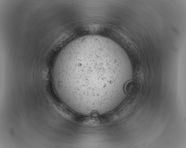 X0000112780750200909031628