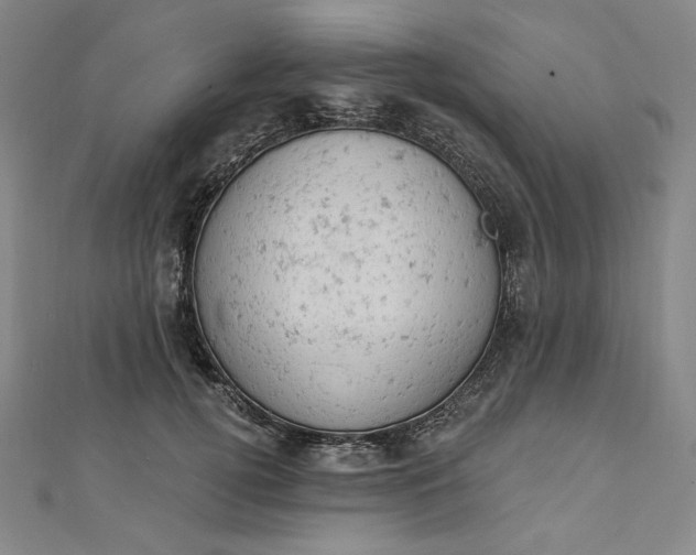 X0000112780752200909031628