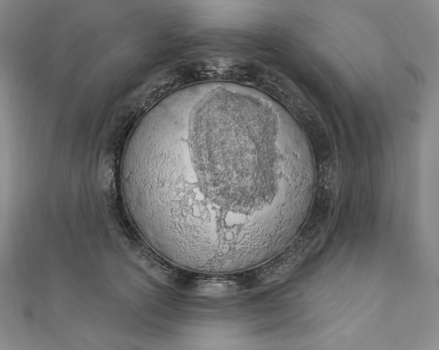 X0000112780754200909031628