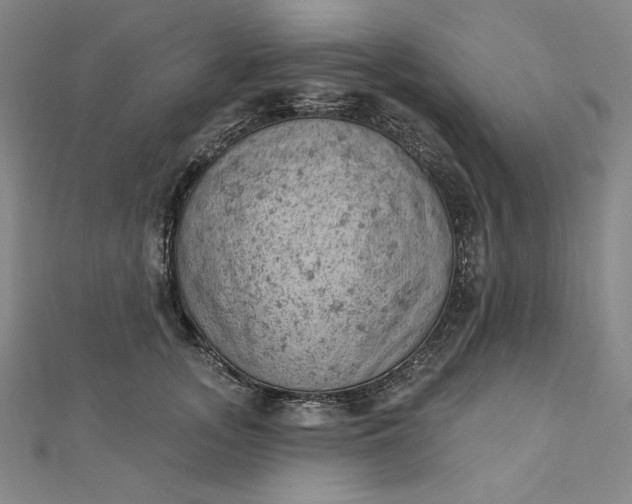 X0000112780755200909031628