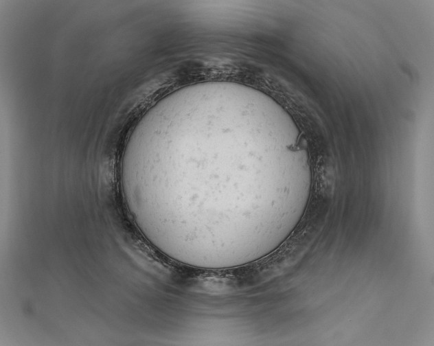 X0000112780756200909031628