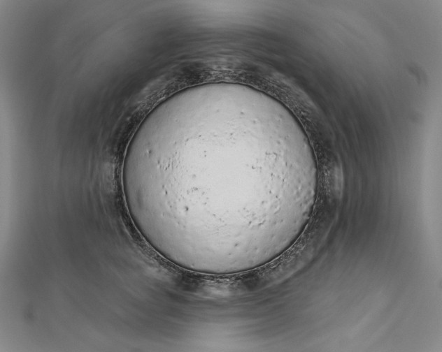 X0000112780757200909031628