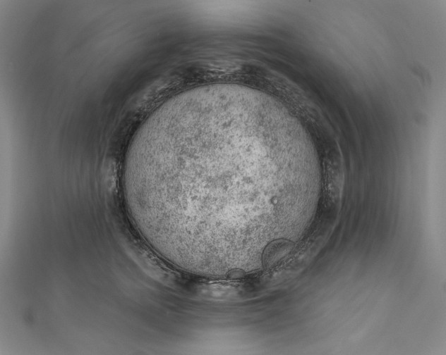 X0000112780758200909031628