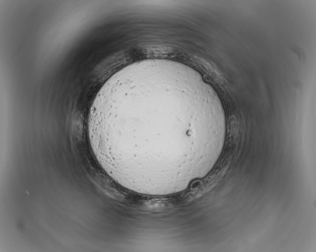 X0000112780761200909031628