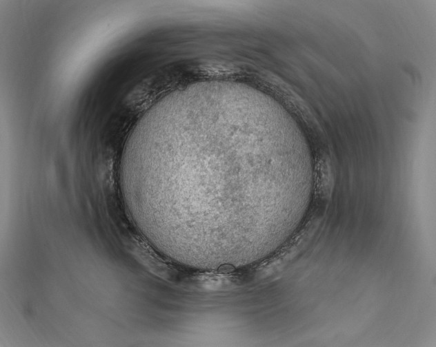 X0000112780762200909031628