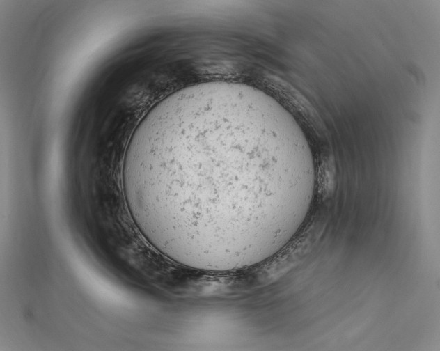 X0000112780764200909031629