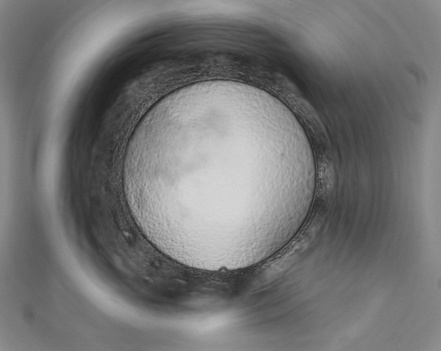 X0000112780765200909031629