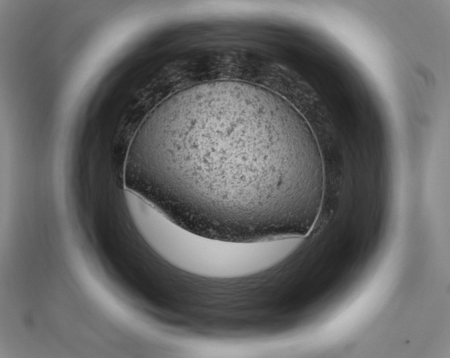 X0000112780766200909031629