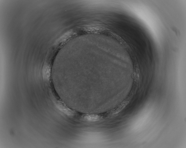 X0000112780767200909031629