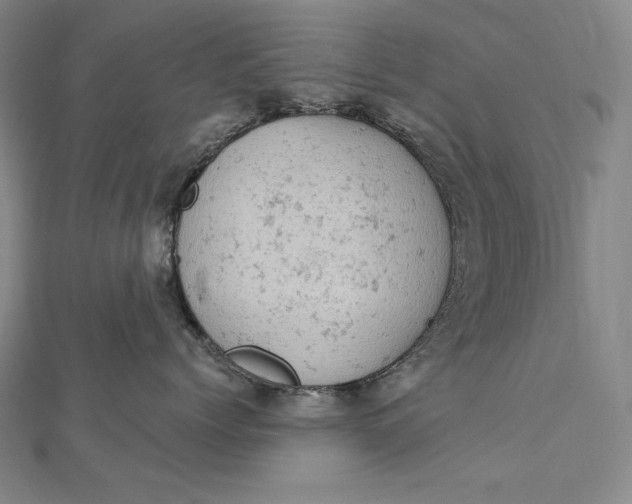 X0000112780768200909031629