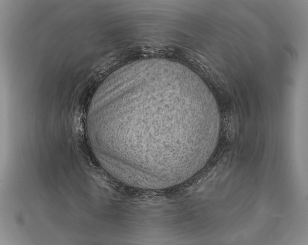 X0000112780770200909031628