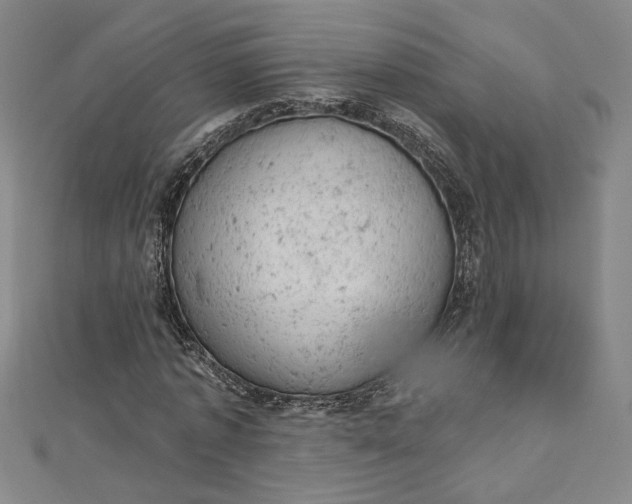 X0000112780773200909031628