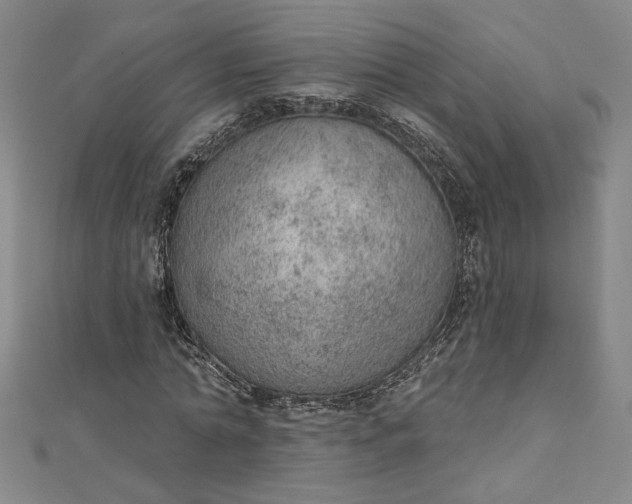 X0000112780774200909031628