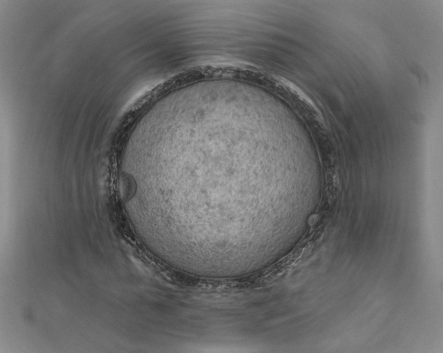 X0000112780775200909031628