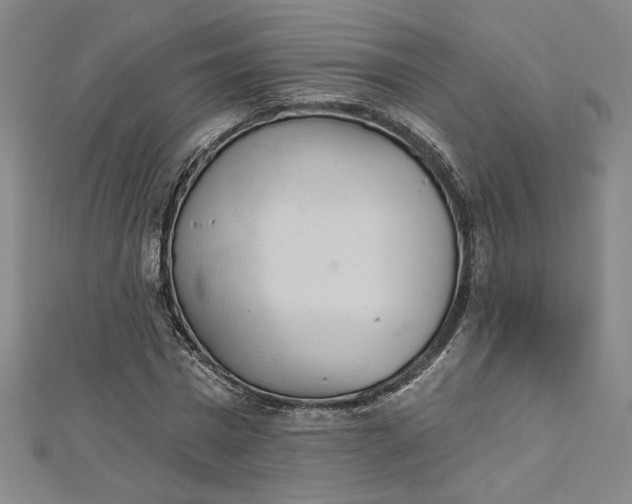 X0000112780777200909031628