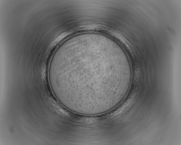 X0000112780778200909031628