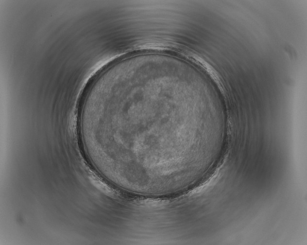 X0000112780779200909031628