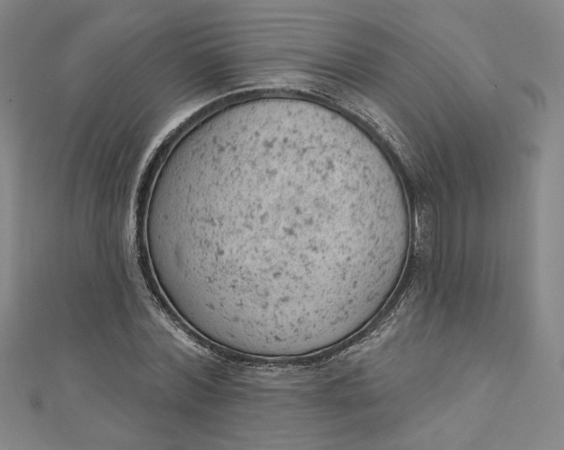 X0000112780780200909031628