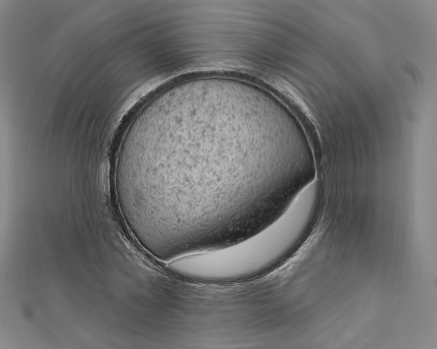 X0000112780781200909031628