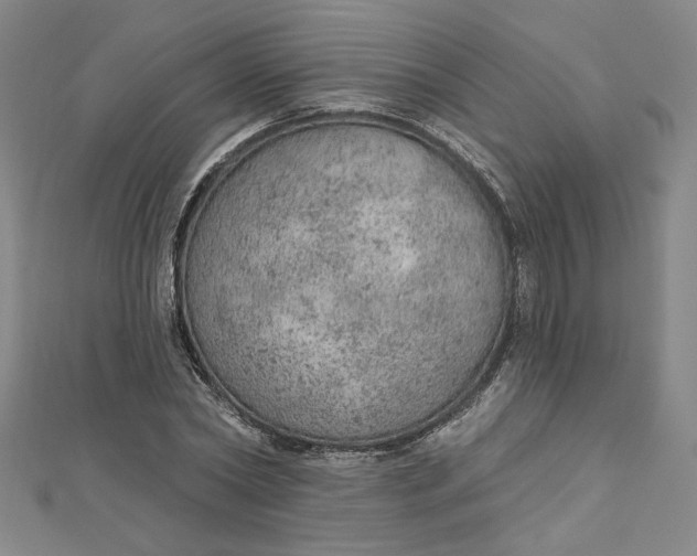 X0000112780782200909031628